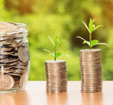 Les différents types de placements financiers pour faire fructifier votre argent